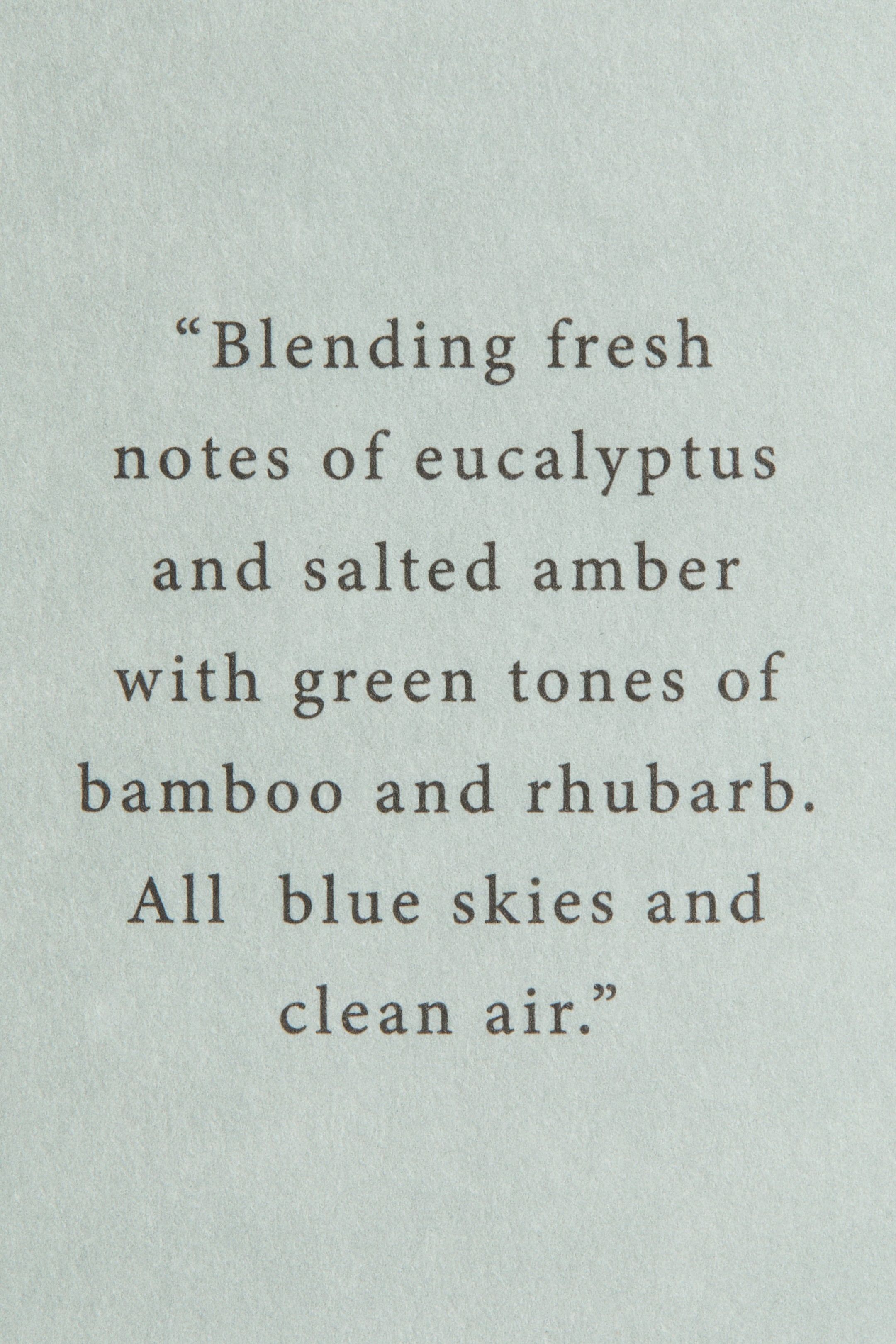 Диффузор H&M Запах Eucalyptus Mist 110 ml