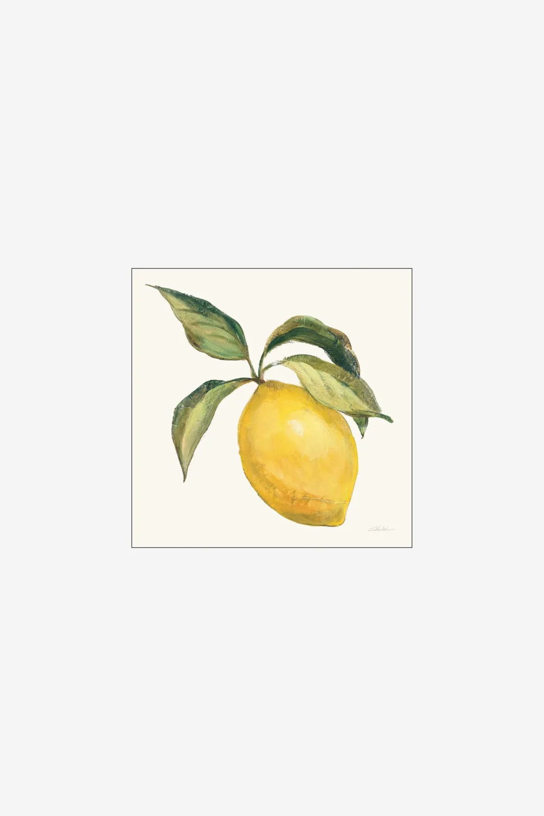 Плакат H&M 50X50 см Wild Apple - Le Citron On Cream ракурс 2