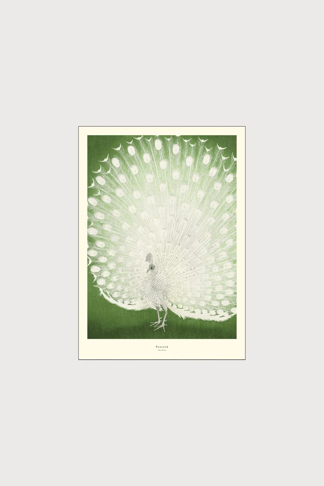 Плакат H&M 50X70 см Ap Atelier - Peacock ракурс 2