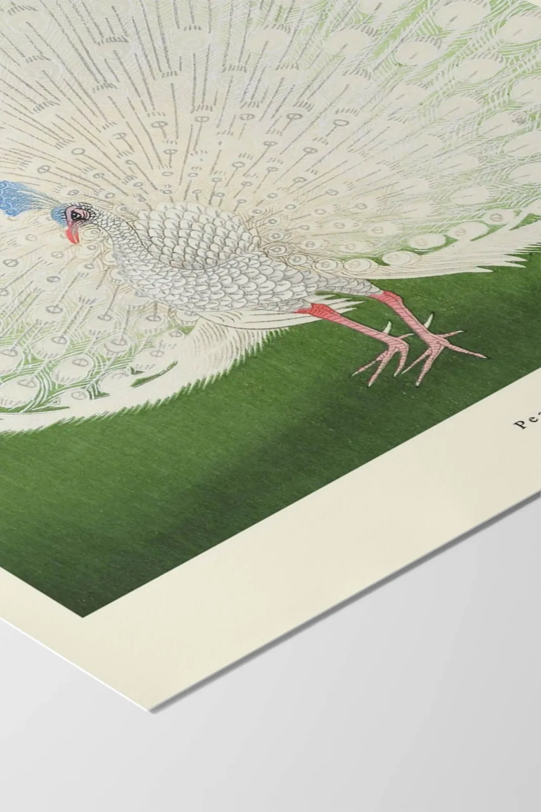 Плакат H&M 50X70 см Ap Atelier - Peacock ракурс 3