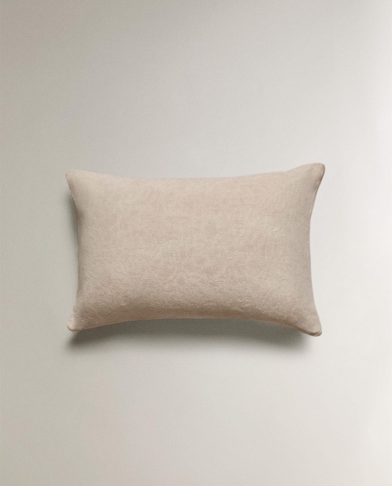 ZARA HOME ДЕКОРАТИВНАЯ НАВОЛОЧКА ИЗ ШЕНИЛЛА ракурс 2