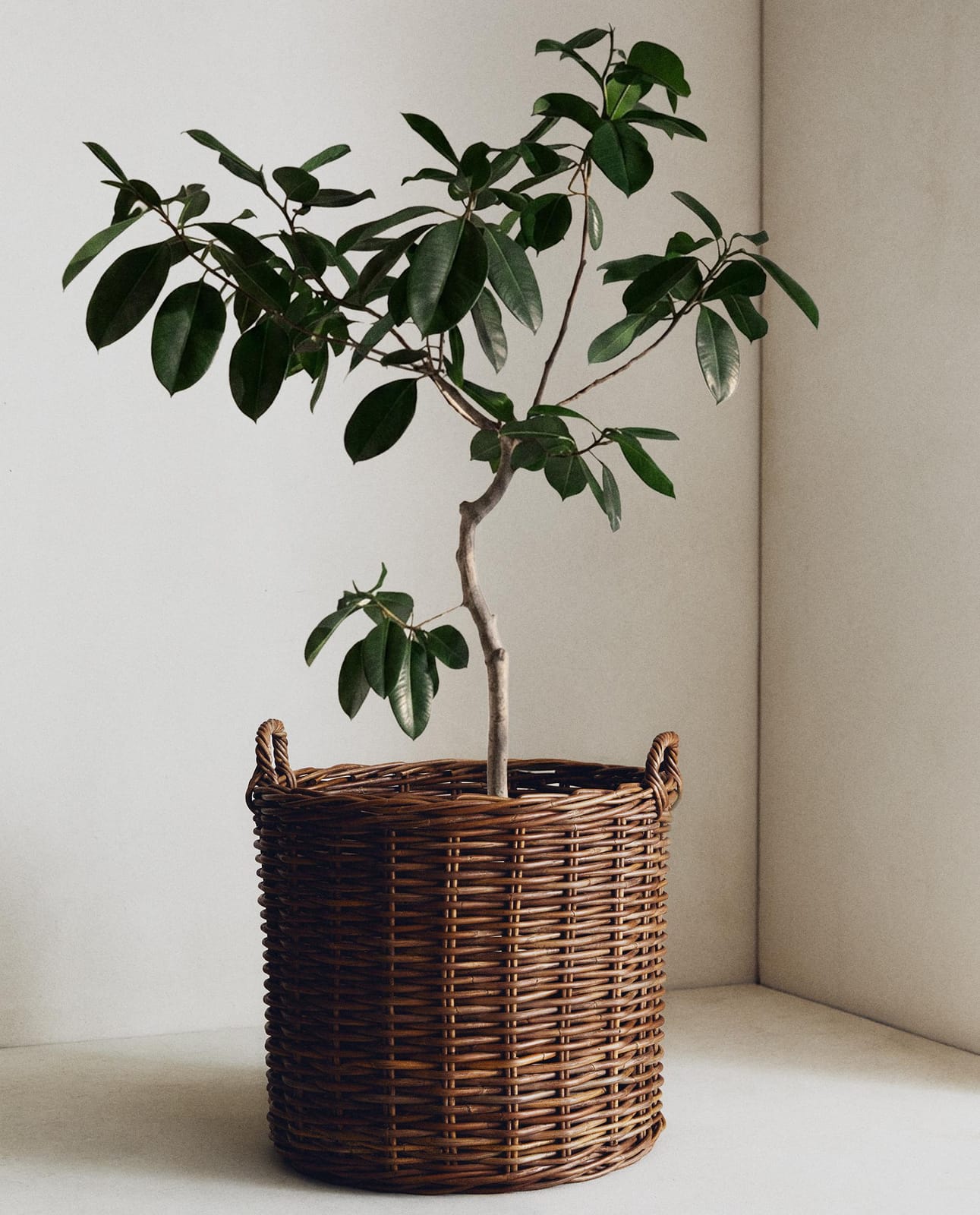 ZARA HOME КРУГЛАЯ РАТТАНОВАЯ КОРЗИНА ракурс 8