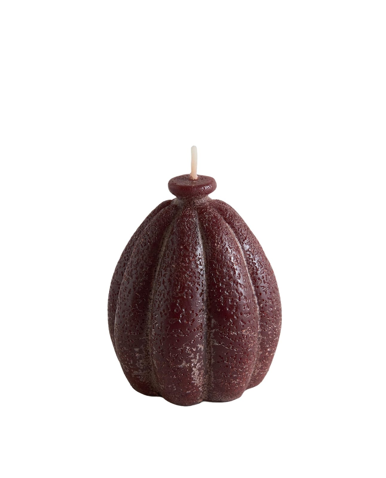 ZARA HOME (194 G) АРОМАТИЧЕСКАЯ СВЕЧА PUMPKIN SPICE ракурс 6