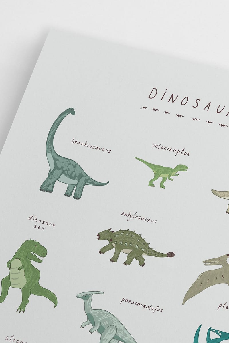 Плакат H&M 50х70 см Dinosaur Species