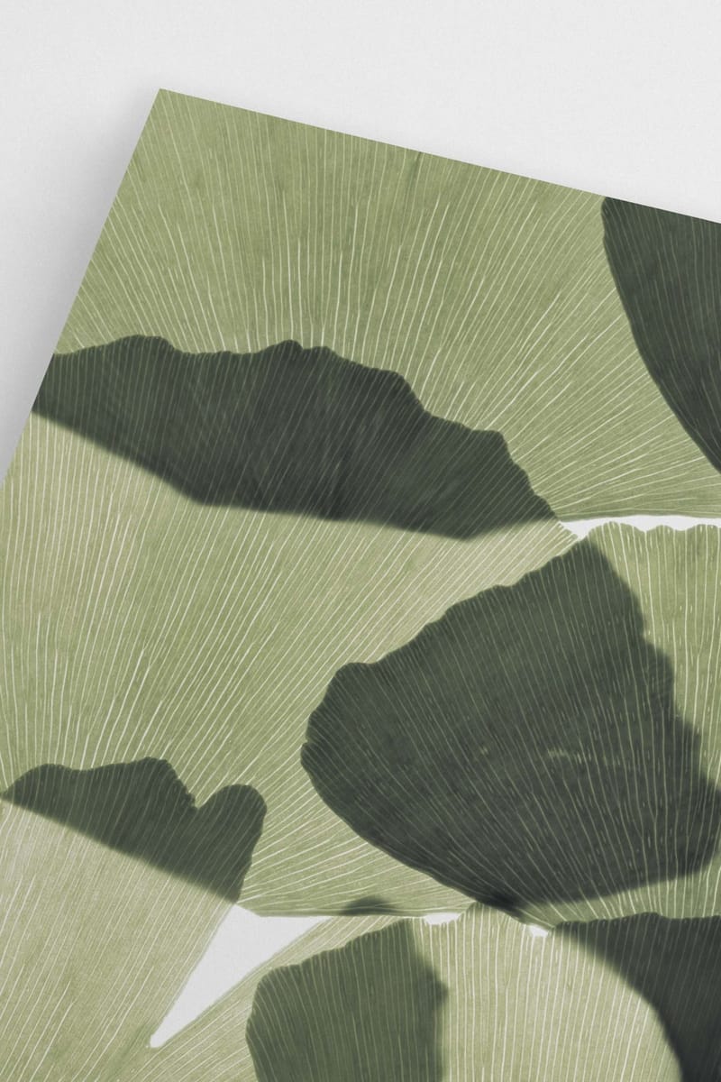 Плакат H&M 50х70 см Ginkgo Leaves