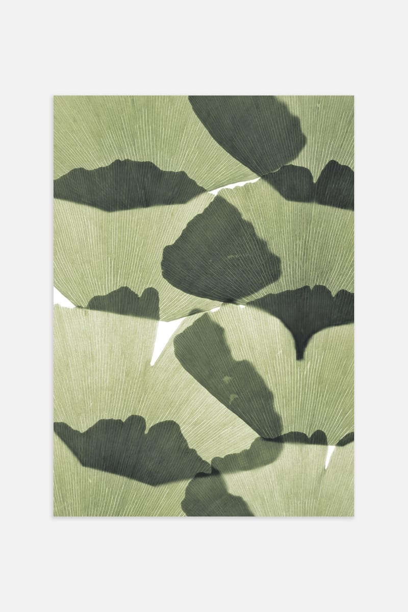 Плакат H&M 50х70 см Ginkgo Leaves ракурс 2