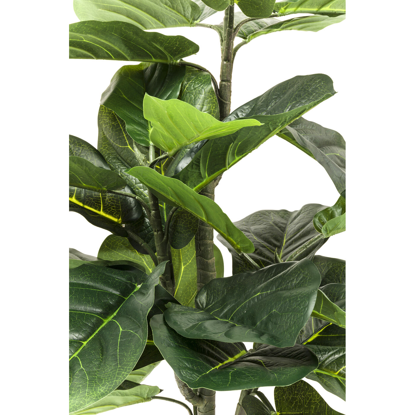 Растение декоративное Fiddle Leaf, 120 см