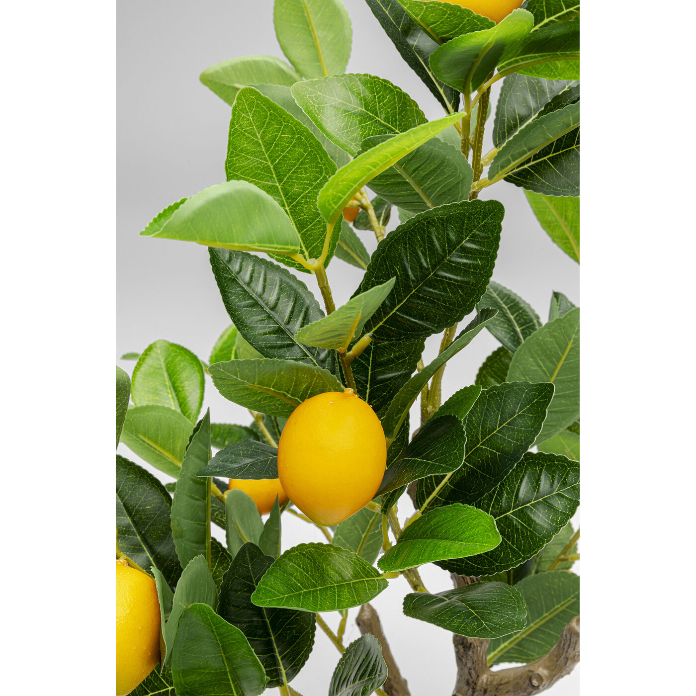 Растение декоративное Lemon Tree, 60 см