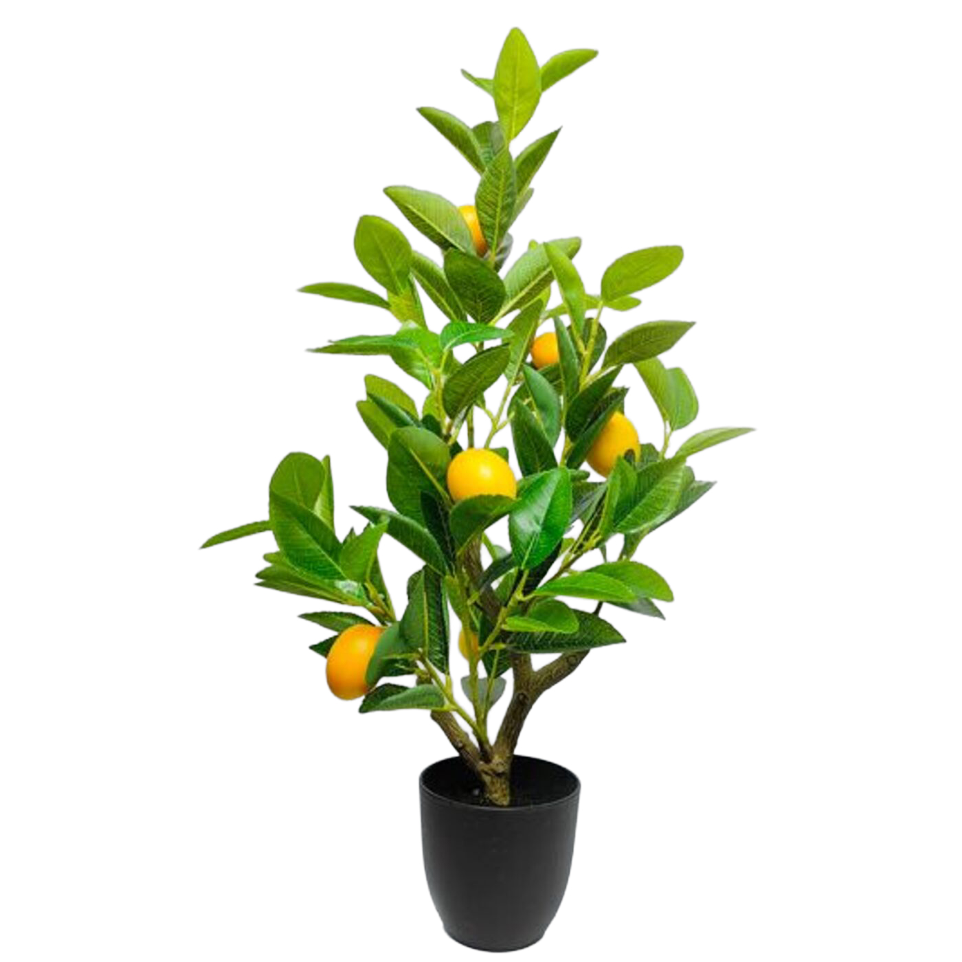 Растение декоративное Lemon Tree ракурс 2