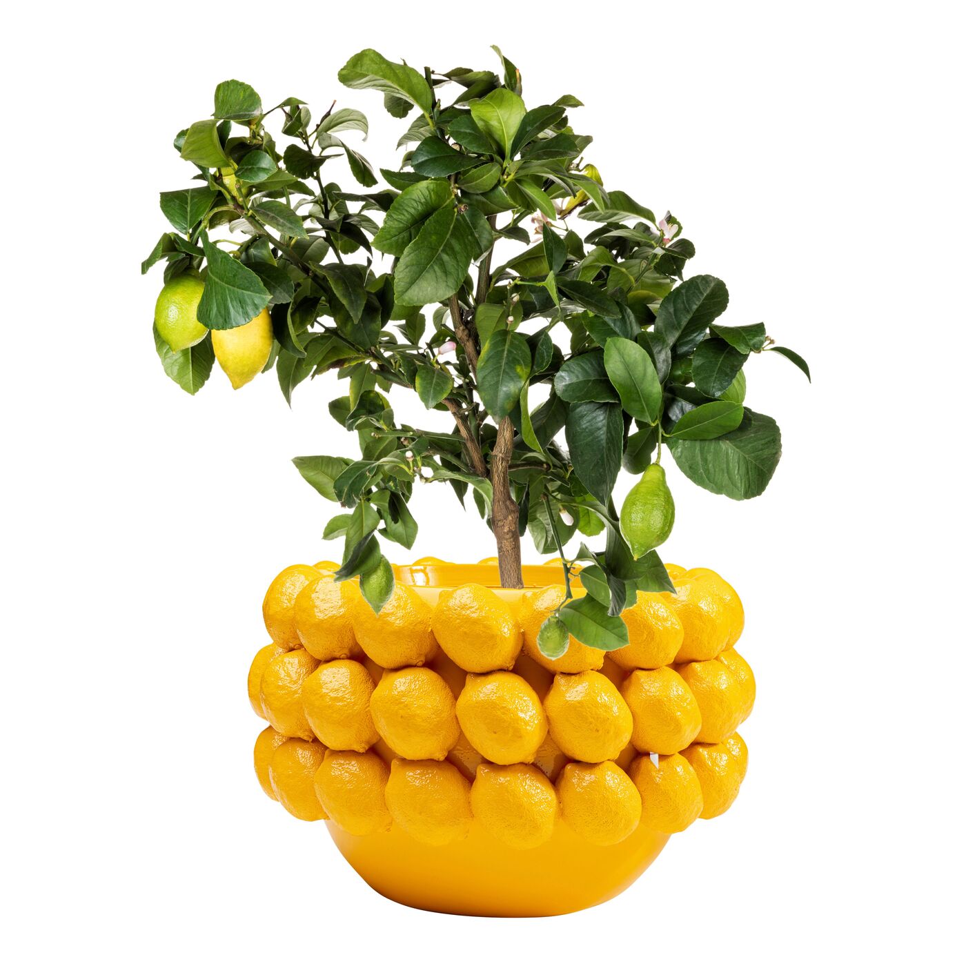 Ваза декоративная Lemon Juice ракурс 6