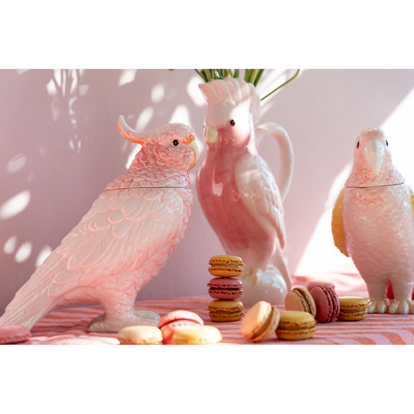 Банка декоративная Exotic Bird Giallo ракурс 10