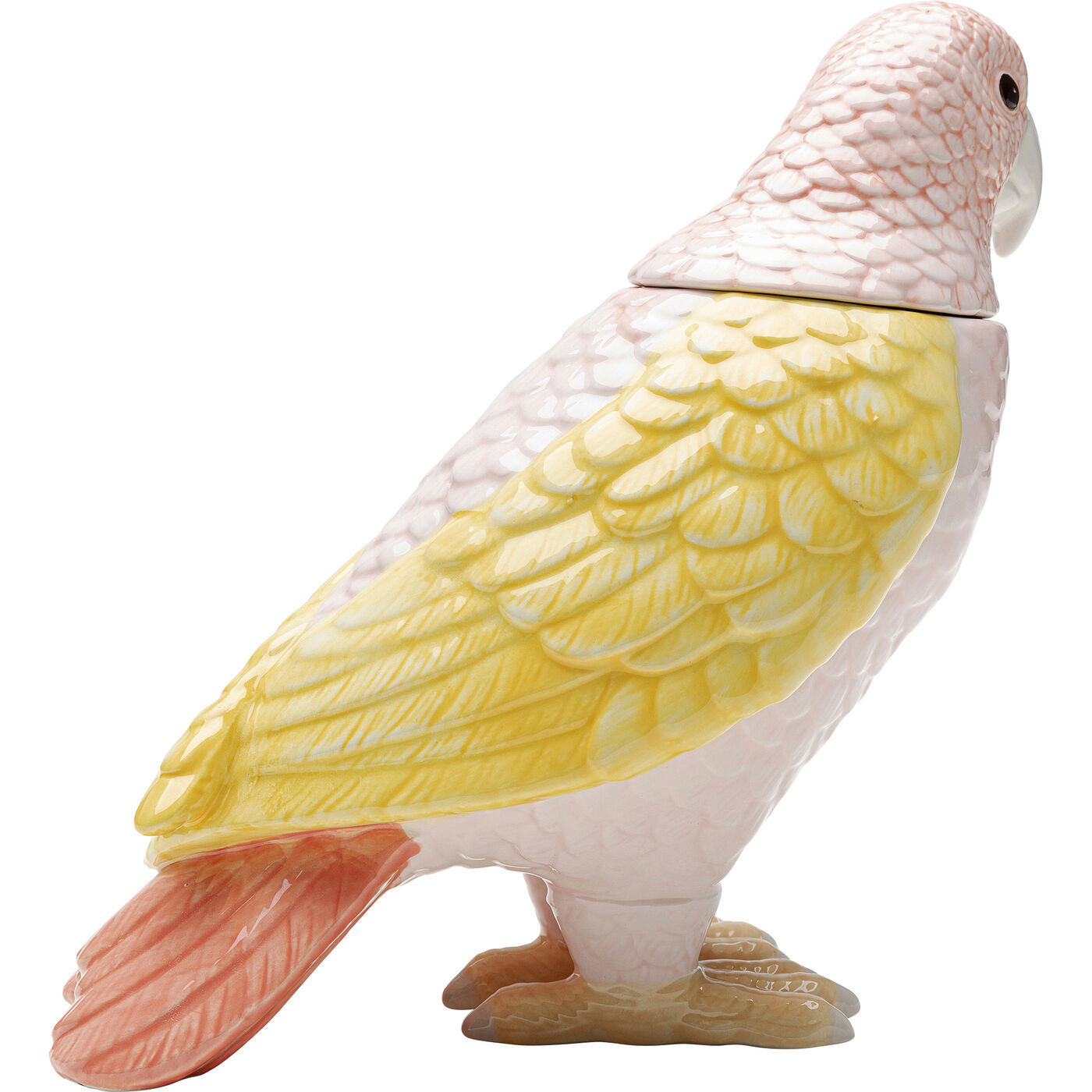 Банка декоративная Exotic Bird Giallo ракурс 6