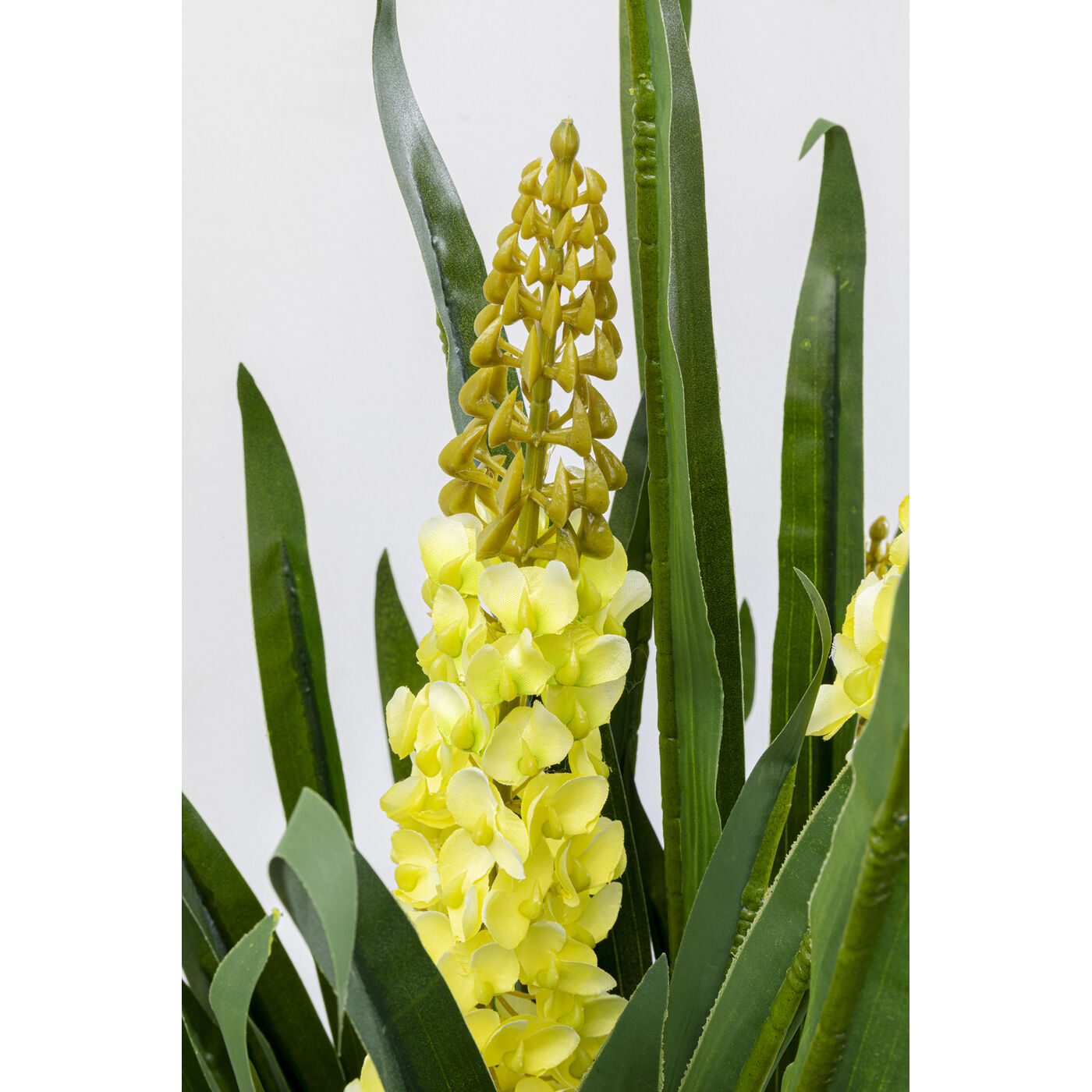 Растение декоративное Rhynchostylis, 55 см
