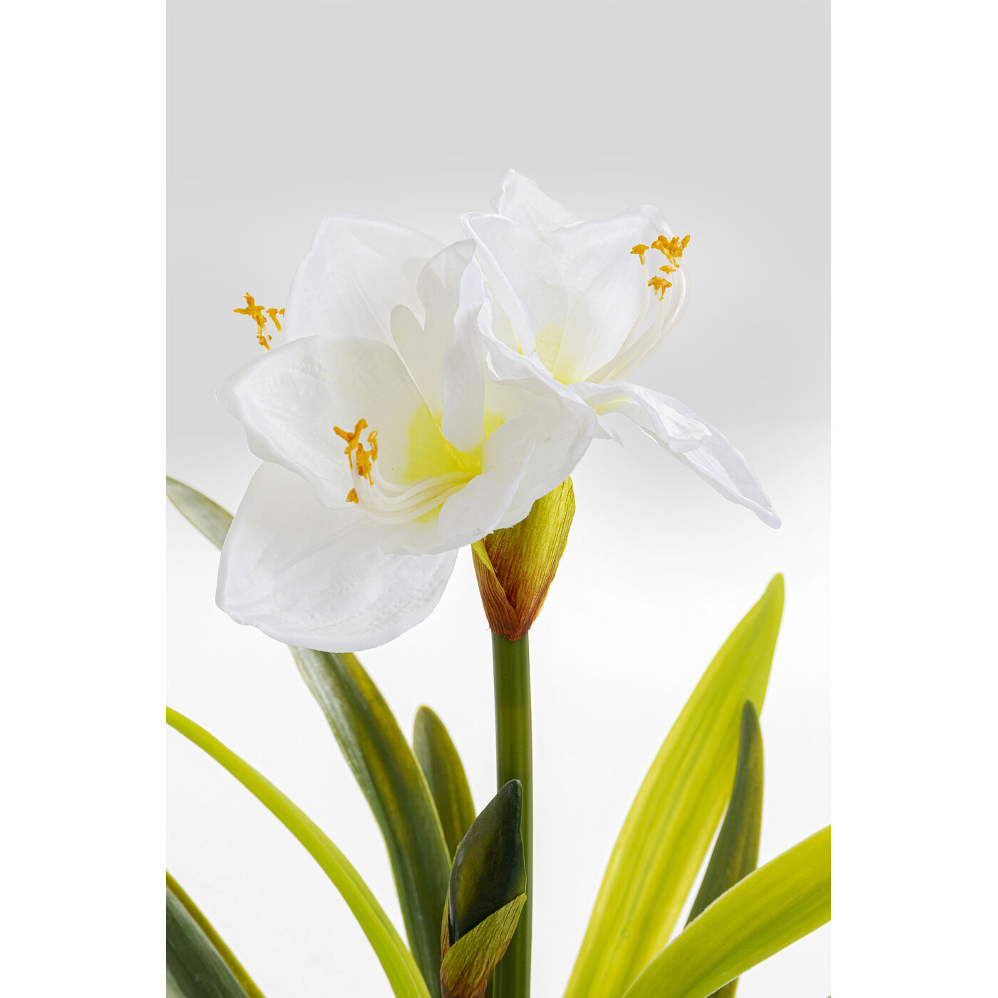 Элемент декоративный Amaryllis White ракурс 4