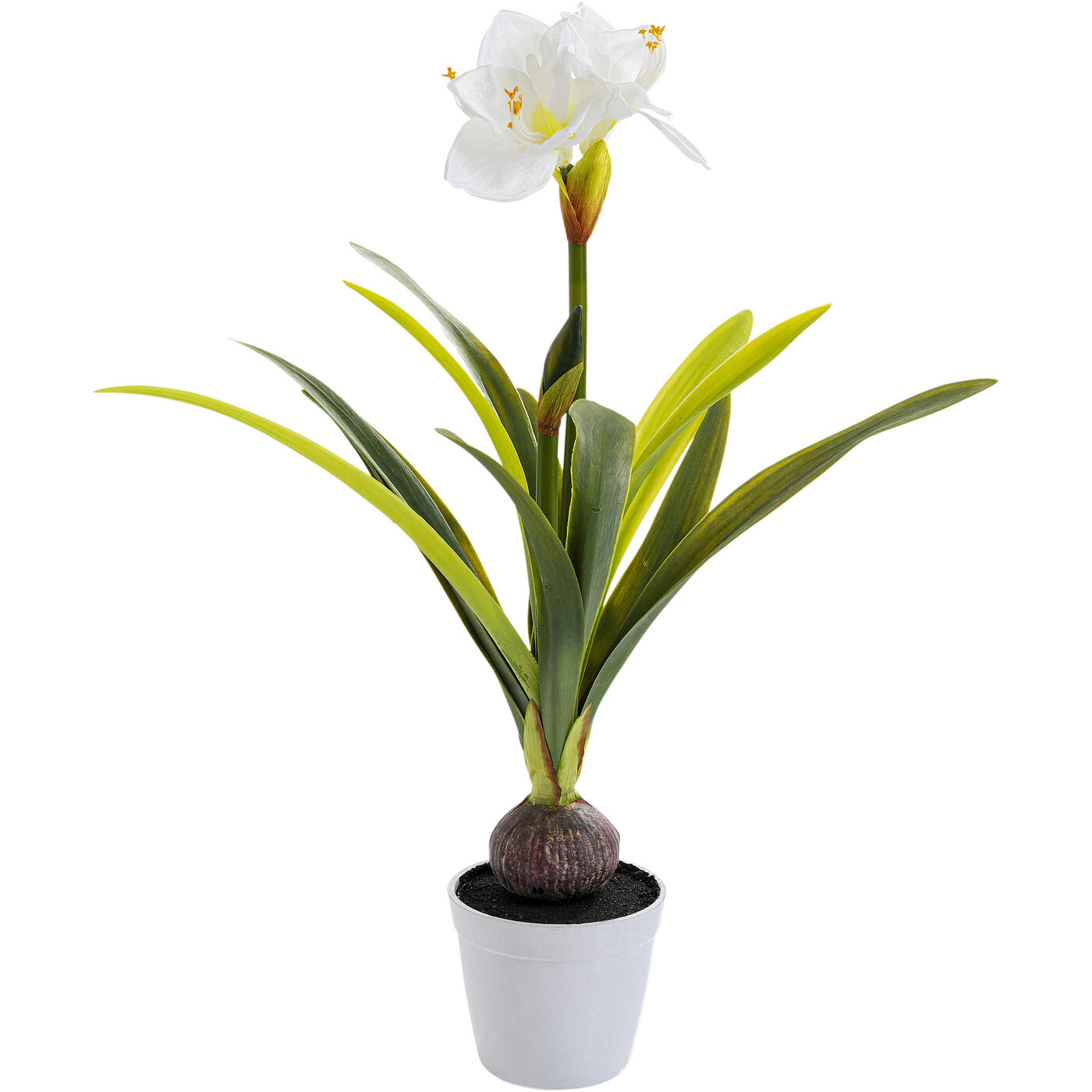 Элемент декоративный Amaryllis White ракурс 2