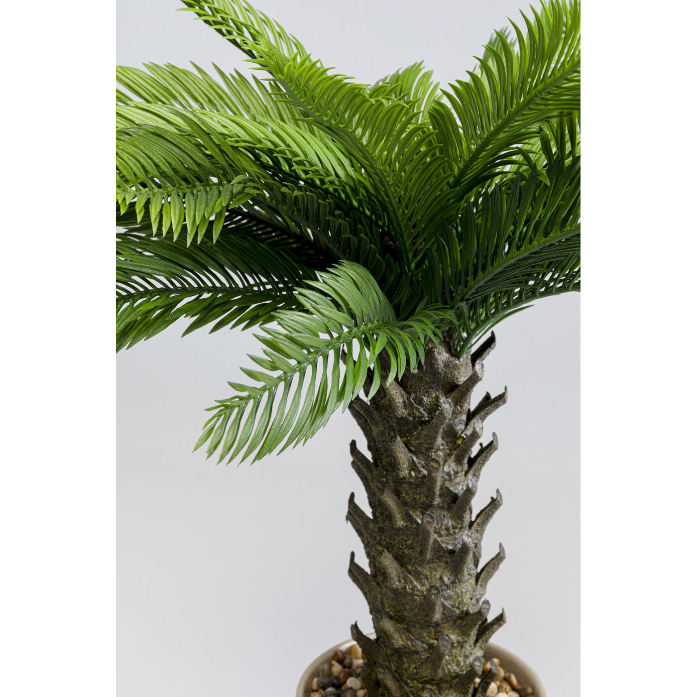 Растение декоративное Cycas Цикас, 70 см