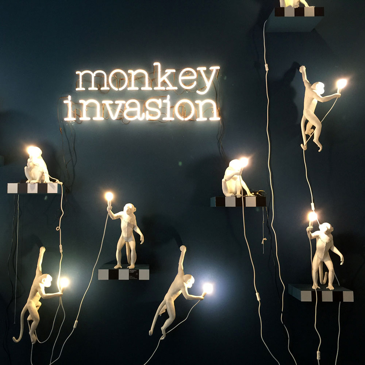 Подвесной светильник Monkey Lamp Ceiling, фото 9