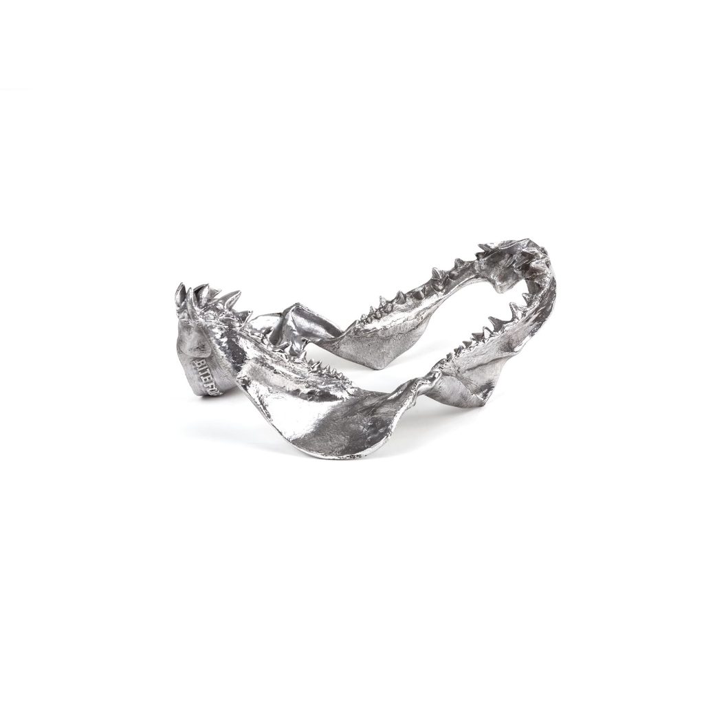 Статуэтка Wunderkammer Shark Jaw, фото 4