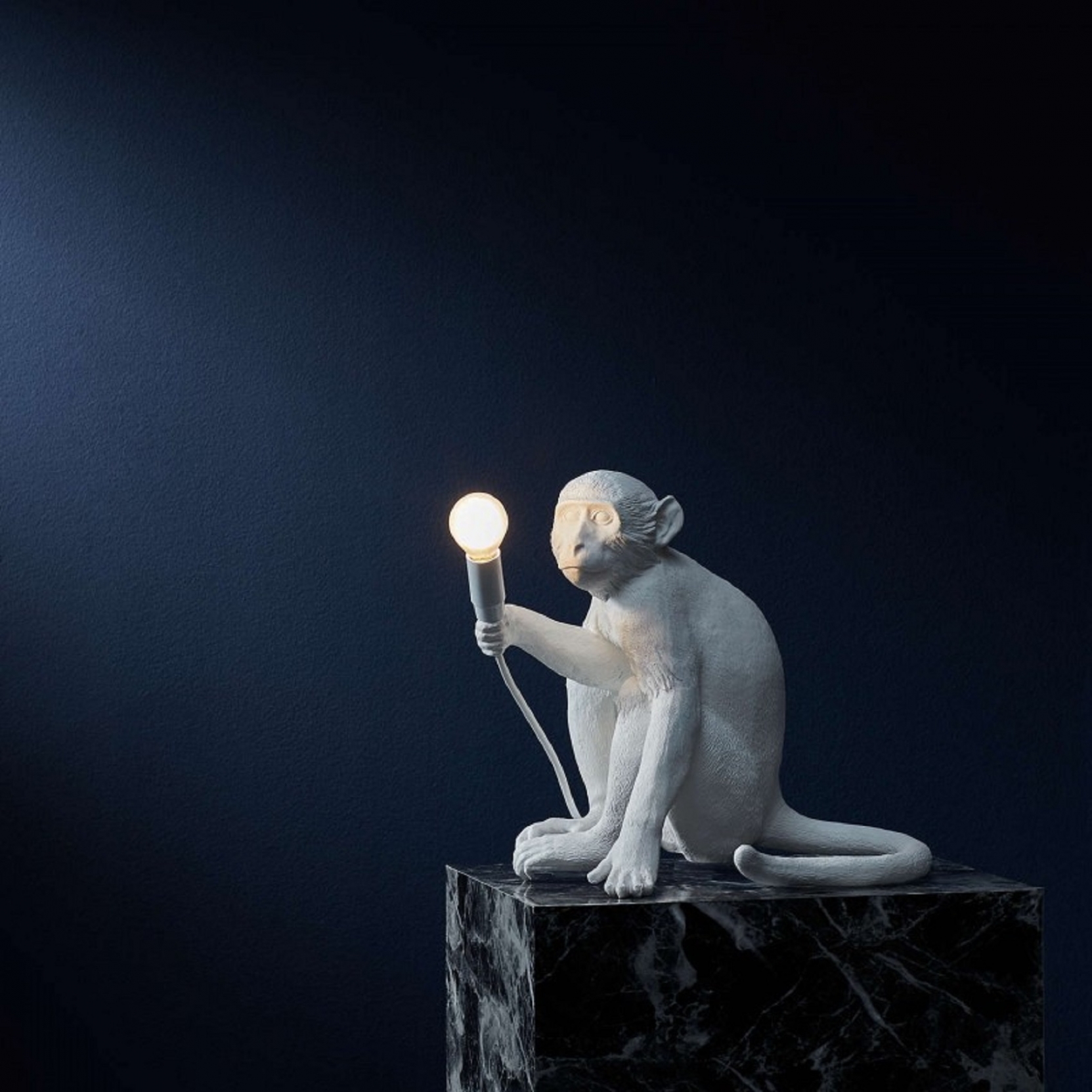 Настольная лампа Monkey Lamp Outdoor Sitting, фото 10