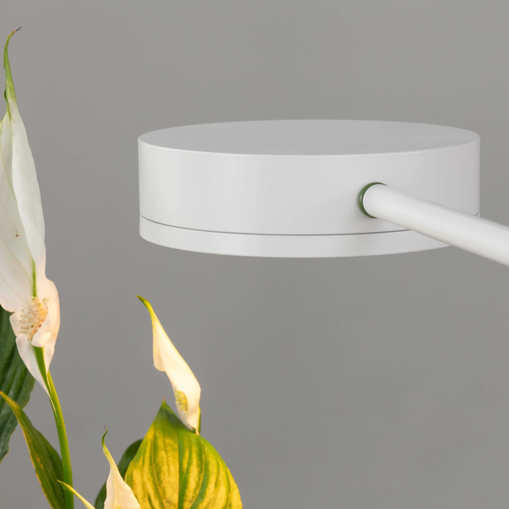 Фитосветильник GoGrow Floor Lamp - белый, фото 2